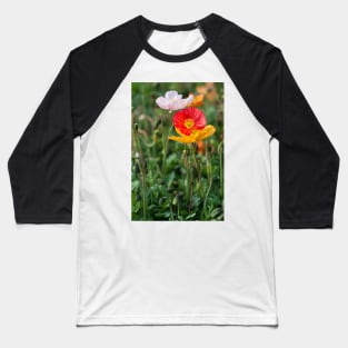 Poppies 2 Baseball T-Shirt